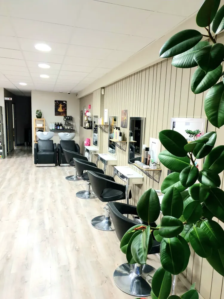 salon (2)