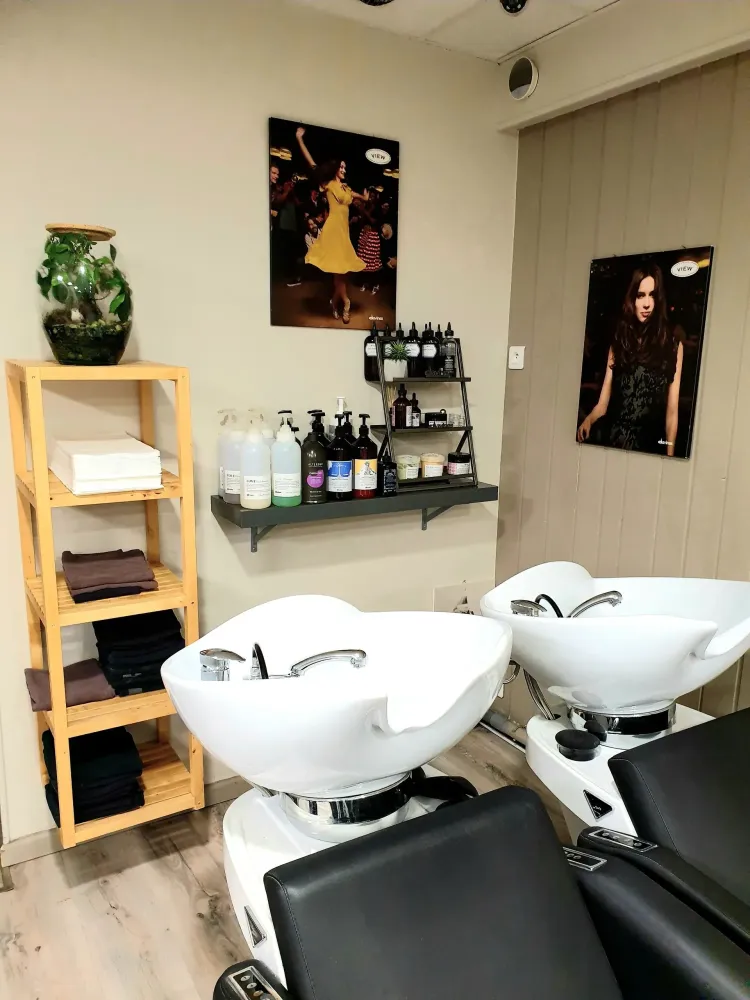 salon (3)